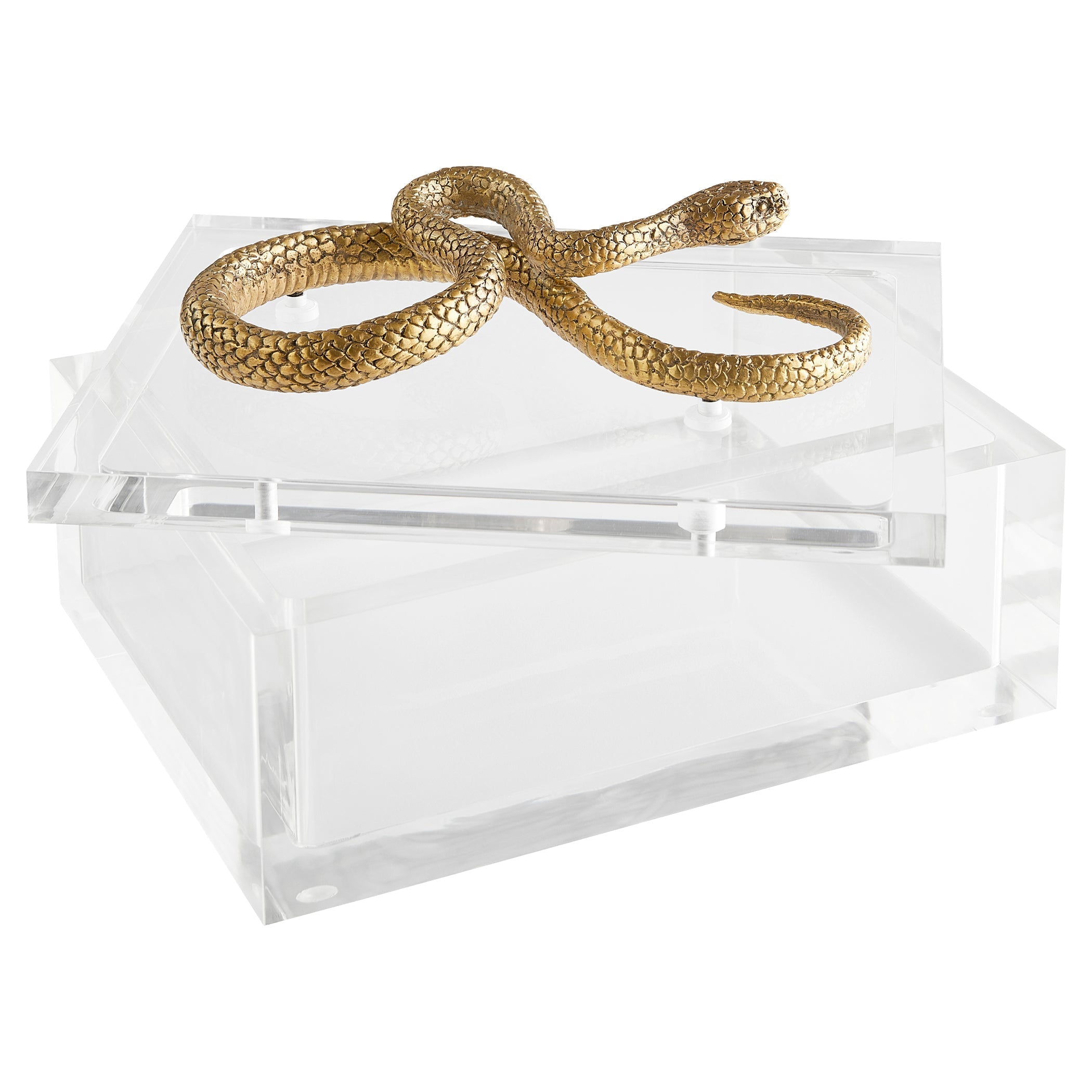 Cyan Design 11763 Snake Box - Clear Glass & Brass Jewelry Storage - Perfect for Rings, Earrings & Small Accessories Organization
