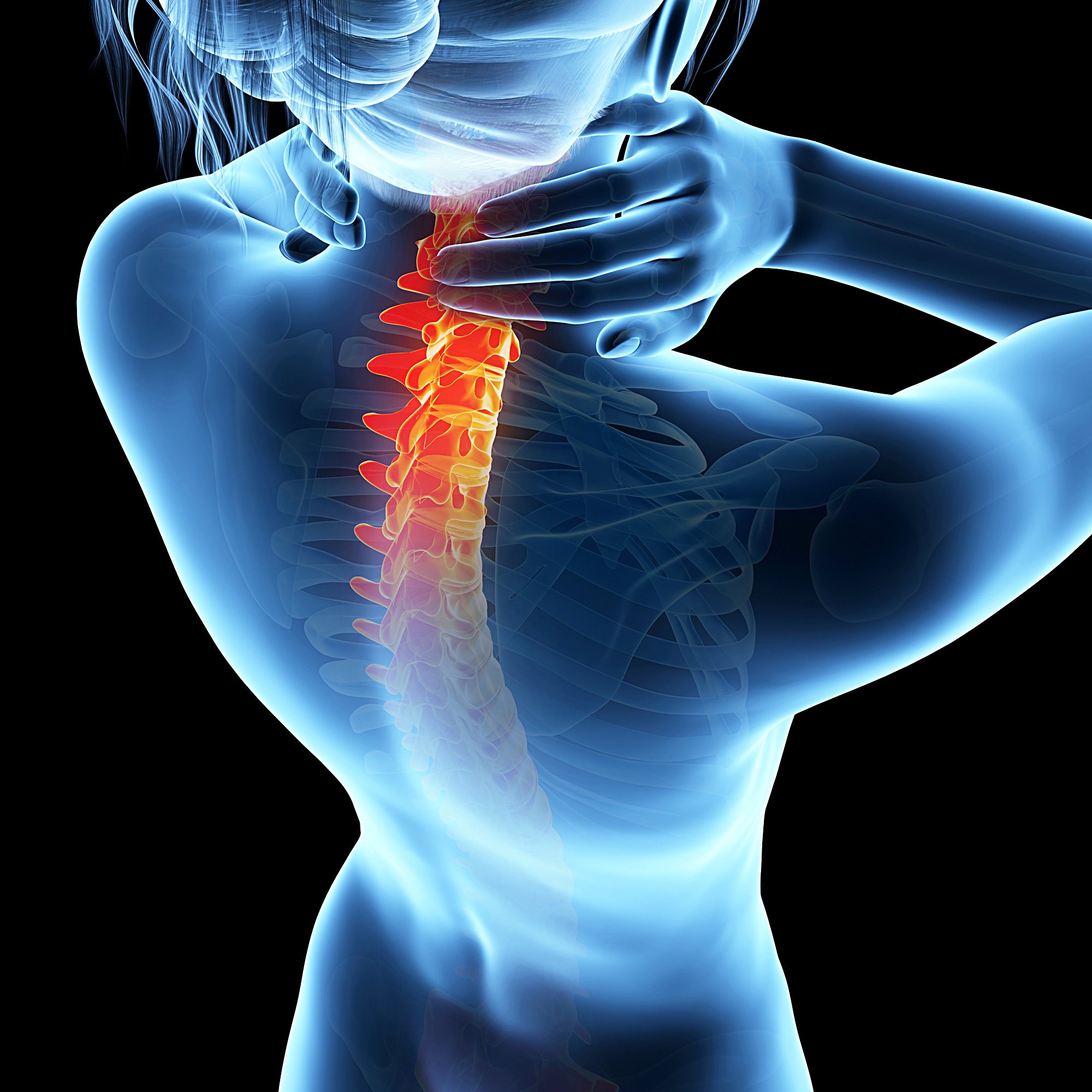 Forever Back Plus Pain Relief System - Effective Back Pain Relief & Posture Support for Home, Office & Travel