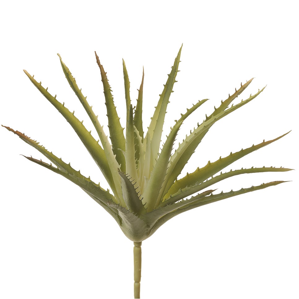 10.5 Inch Artificial Aloe Stem Pick - Green & Cream (Pack of 12) - Perfect for Home Decor, Floral Arrangements, and DIY Crafts