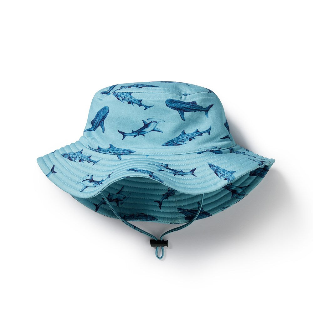 Sharky