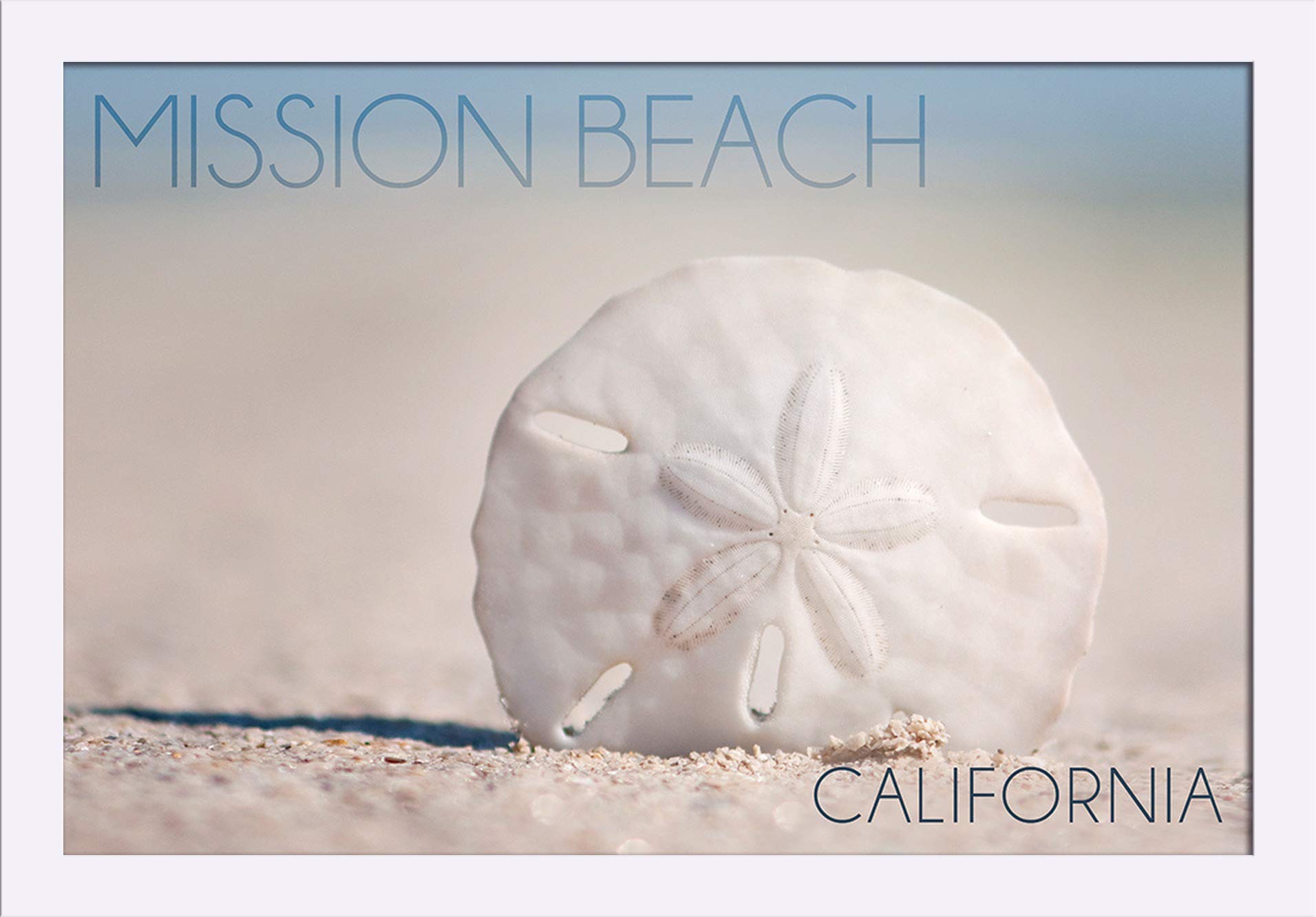16x24 Giclee Fine Art Print of Mission Beach California Sand Dollar - Recycled Wood Frame in White - Perfect for Coastal Home Decor, Beach House Wall Art & Ocean Theme Living Room