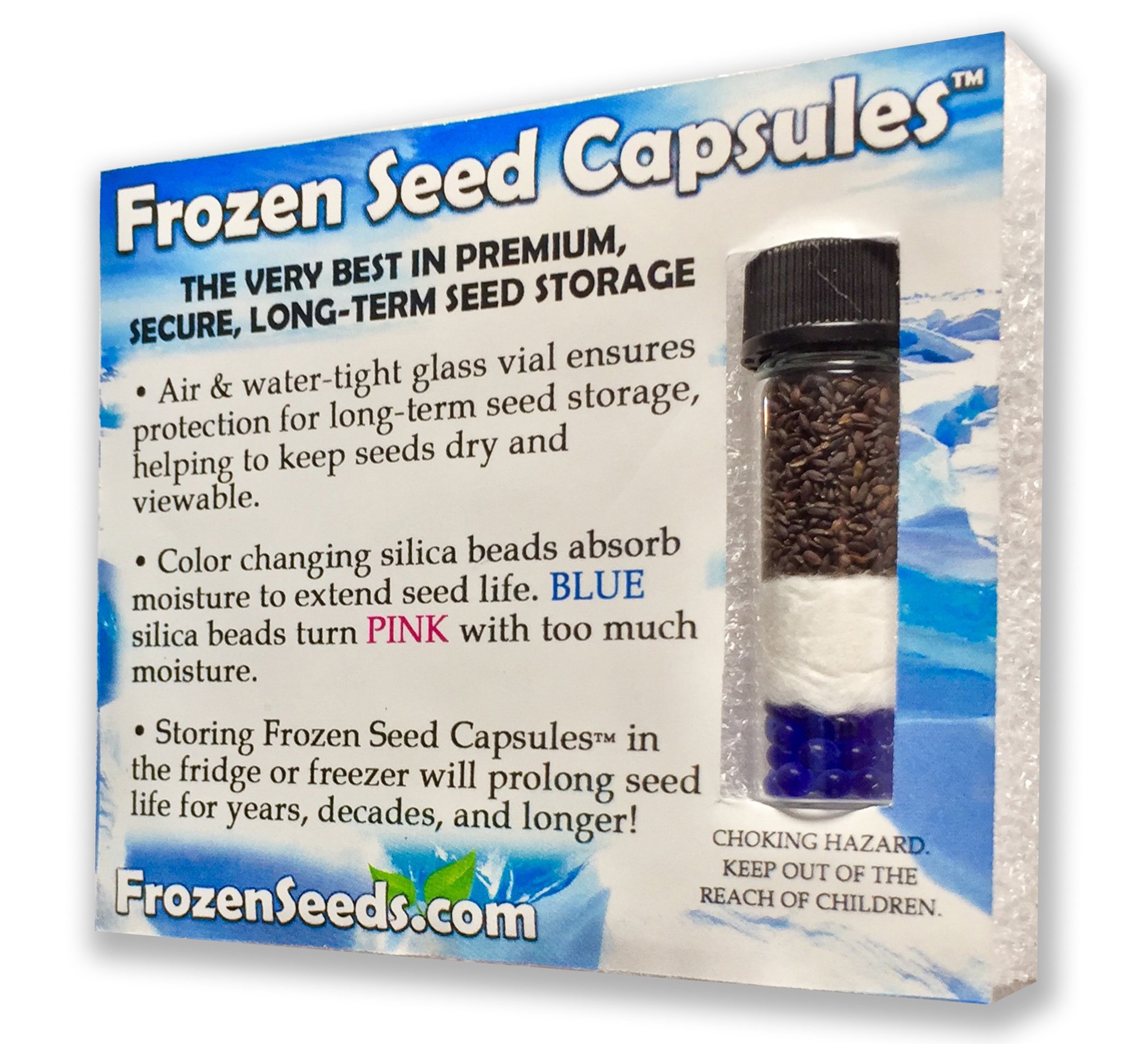 Edible Chrysanthemum Seeds (Glebionis coronaria) - 75 Organic Shungiku Seeds for Planting - Grow Your Own Japanese Greens for Salads, Stir-fries & Garnishes