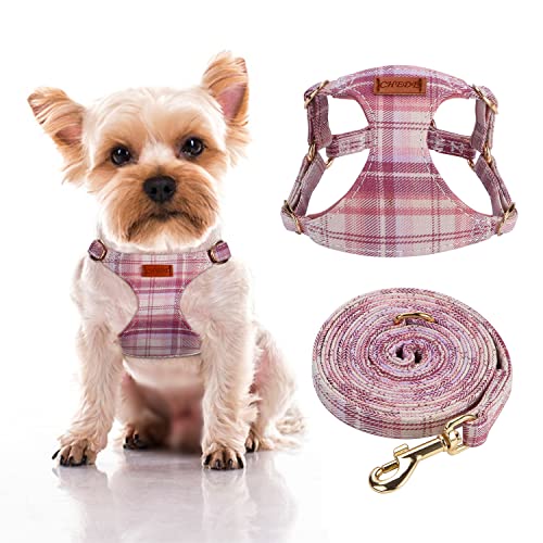 Pink Grid