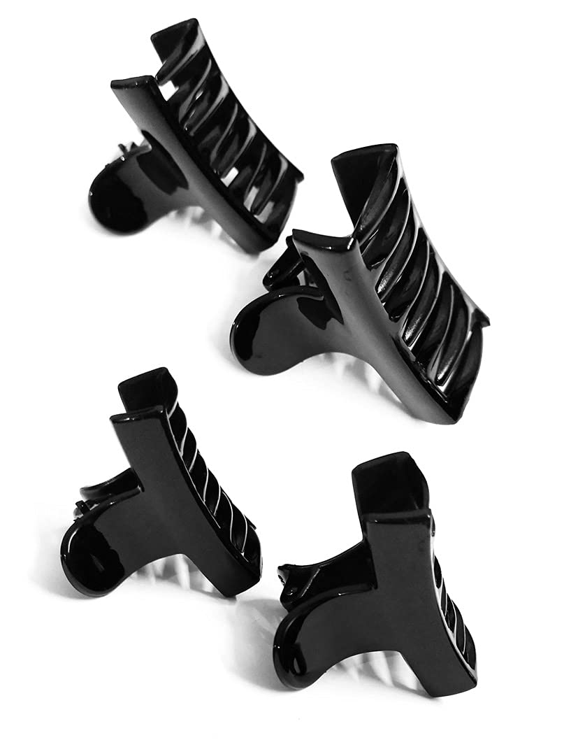 Bharatgaurav Women's Hair Claws - 6 Pack Multi-Pattern Hair Clamps & Hair Ties for Girls & Women | Perfect for Ponytails, Buns & Updos | Hair Accessories for Daily Use, Parties & Special Occasions