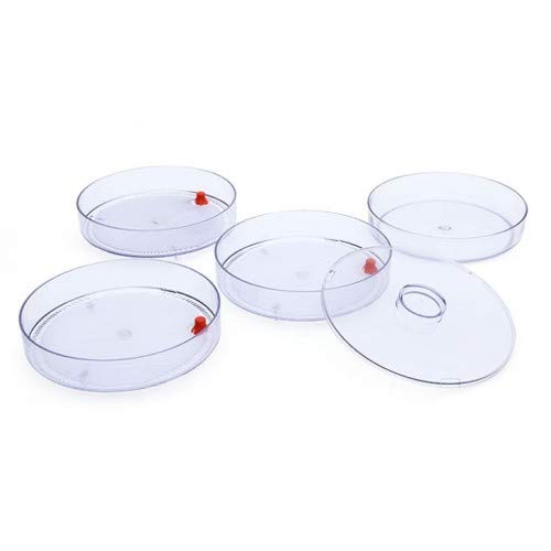 Organic Sprout Maker Kit with 4 Containers - Hygienic Home Sprouting System for Beans, Seeds & Grains | Fresh Healthy Sprouts for Salads, Sandwiches & Smoothies | IcyFlame 4-Bowl Sprout Growing Box