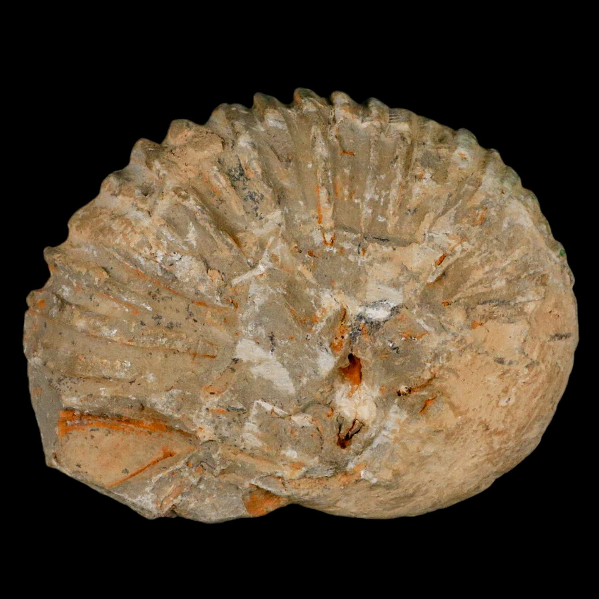 4.5
