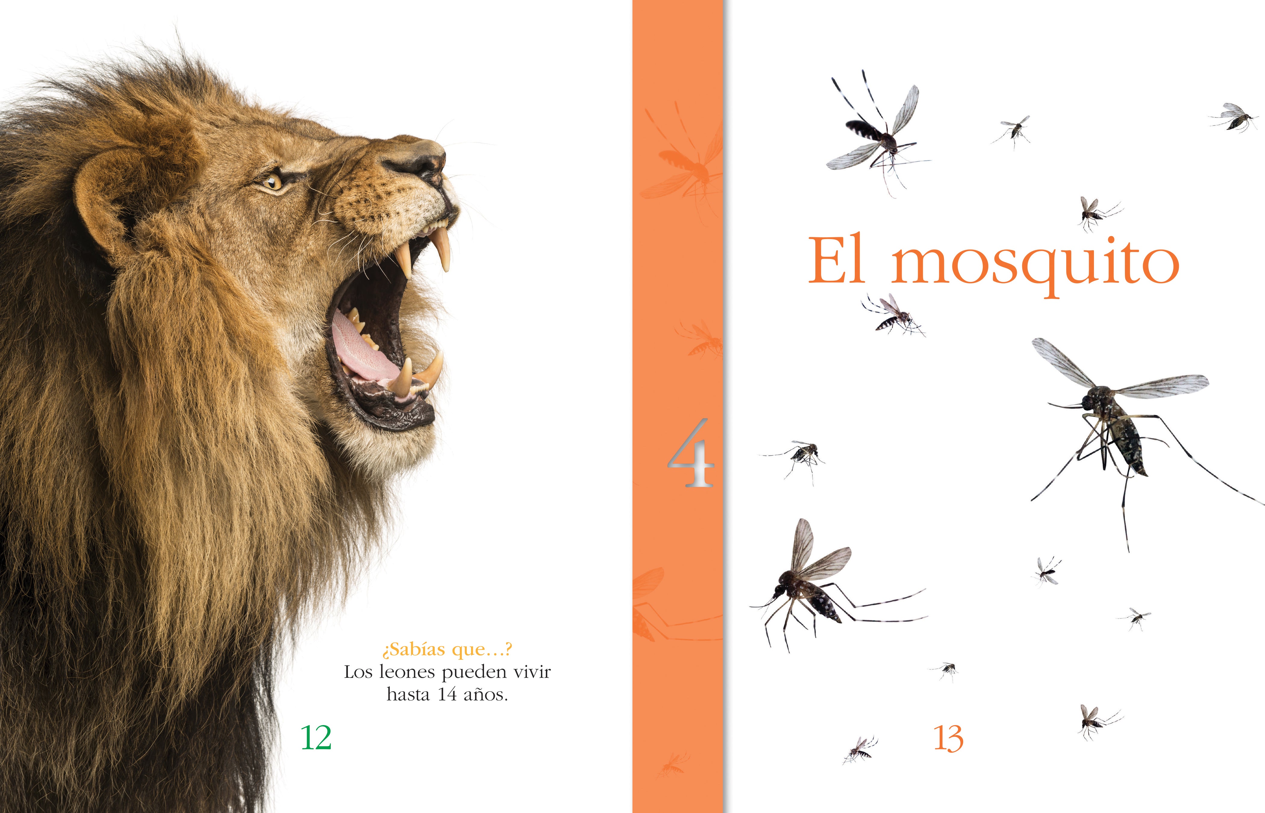 Dangerous Animals - Wild & Deadly Creatures Guide for Kids & Adults - Perfect for Learning, School Projects & Wildlife Enthusiasts