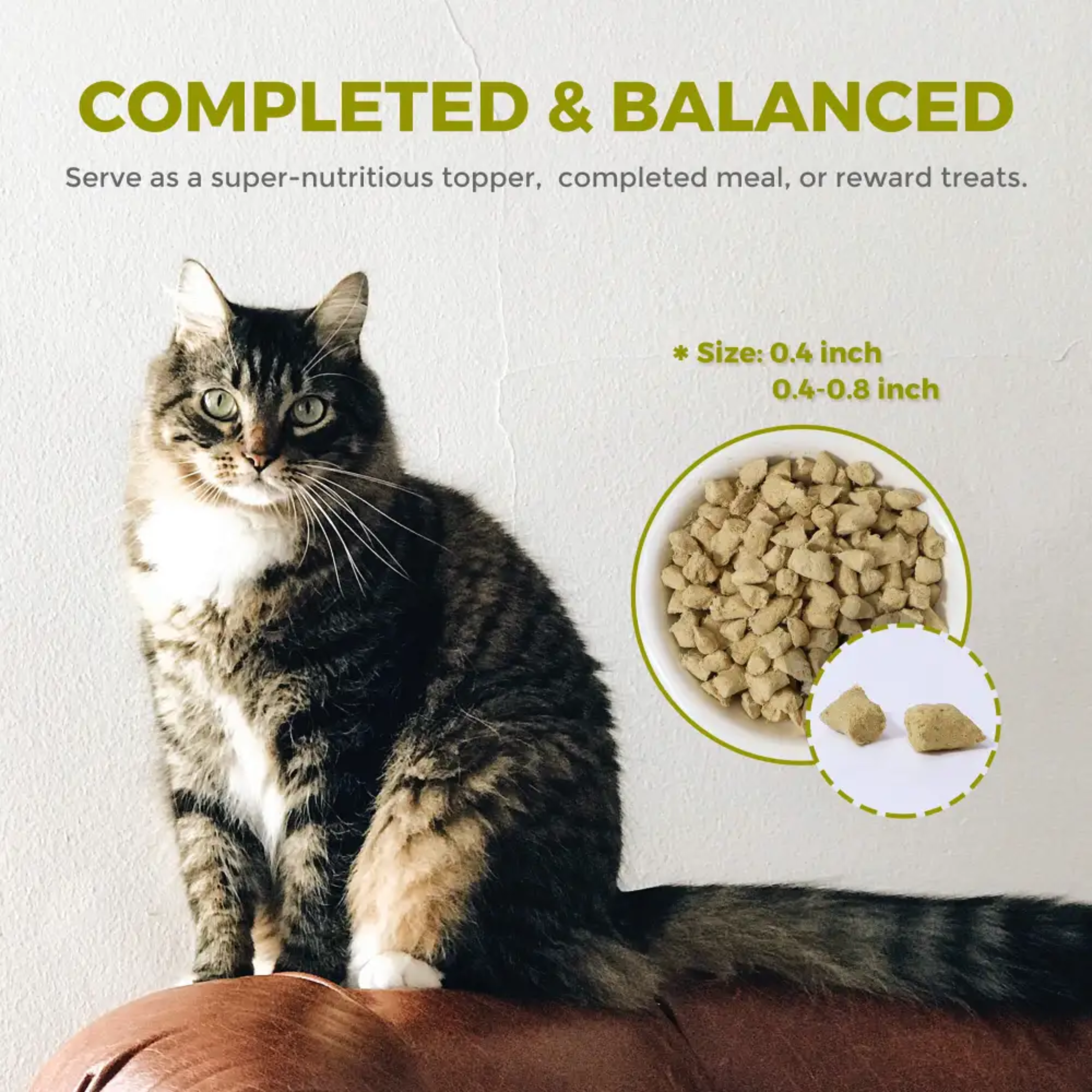 Premium Freeze-Dried Raw Cat Food for Sensitive Digestion - Grain-Free, High-Protein Recipe - Perfect for Indoor Cats & Digestive Health Support
