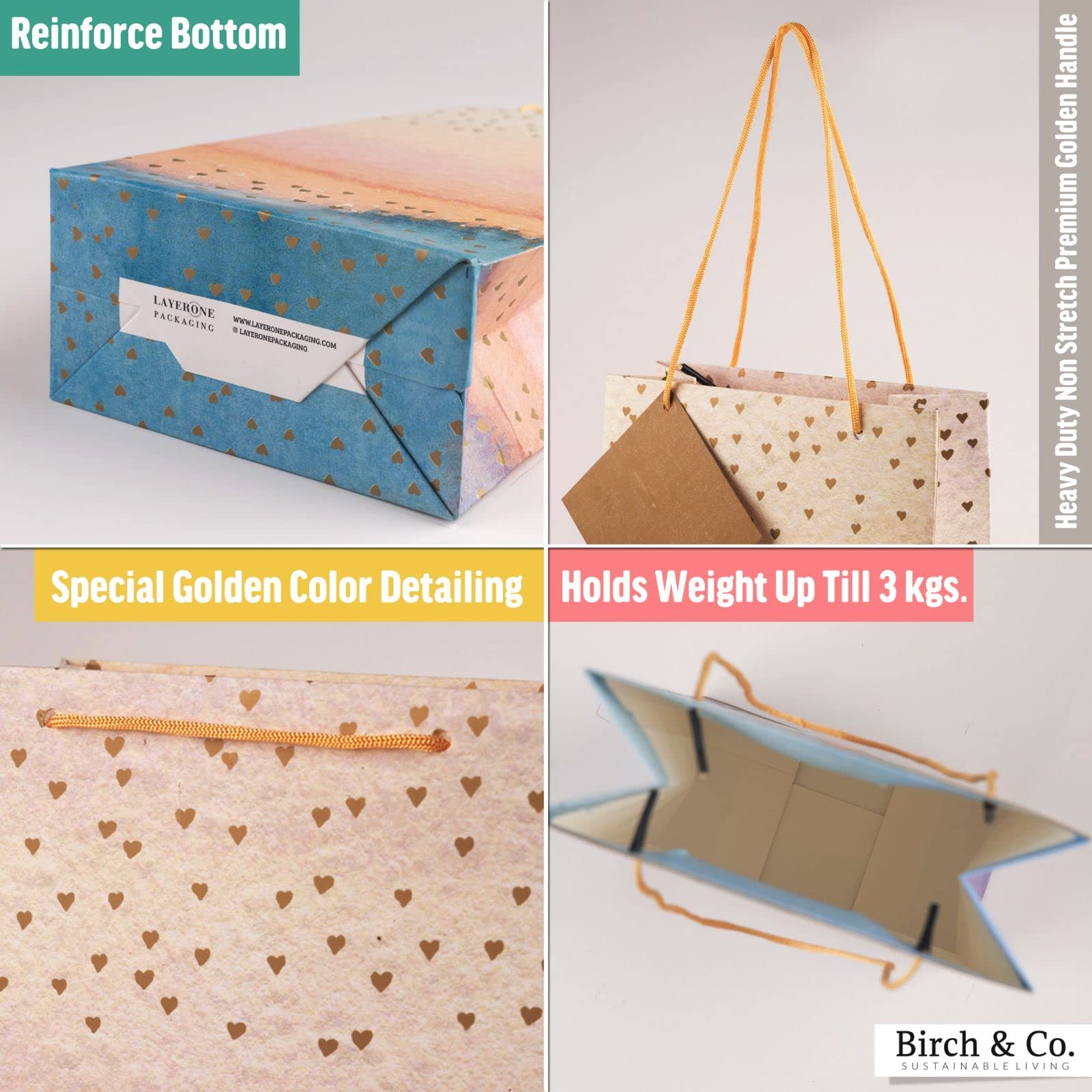 Birch & Co. Premium Multicolor Gift Paper Bags - Small Carry Bags with Tissue & Thank You Card - Pack of 5 - Perfect for Party Favors, Wedding Gifts & Retail Packaging