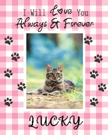 Cats Memorial Paw Prints
