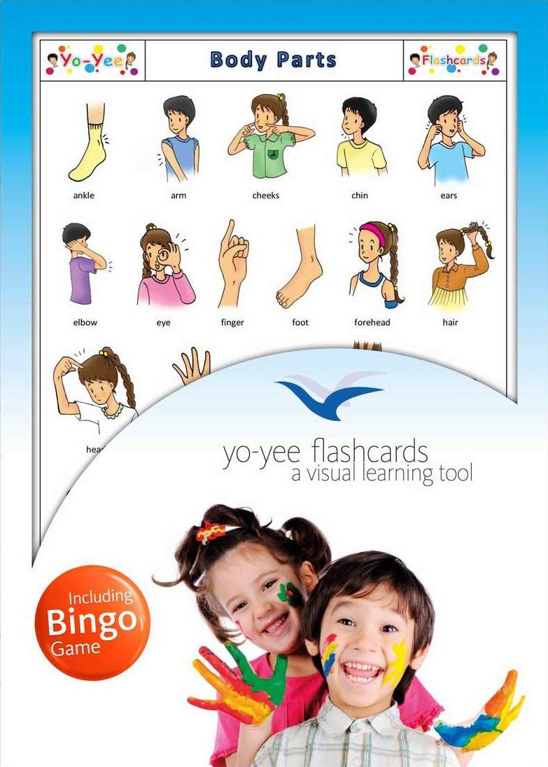 Body Parts Flash Cards & Bingo Game Set - English Vocabulary Learning Cards for Babies, Toddlers & Kids (5.83×8.27in) - Perfect for Homeschooling, Classroom & Early Childhood Education
