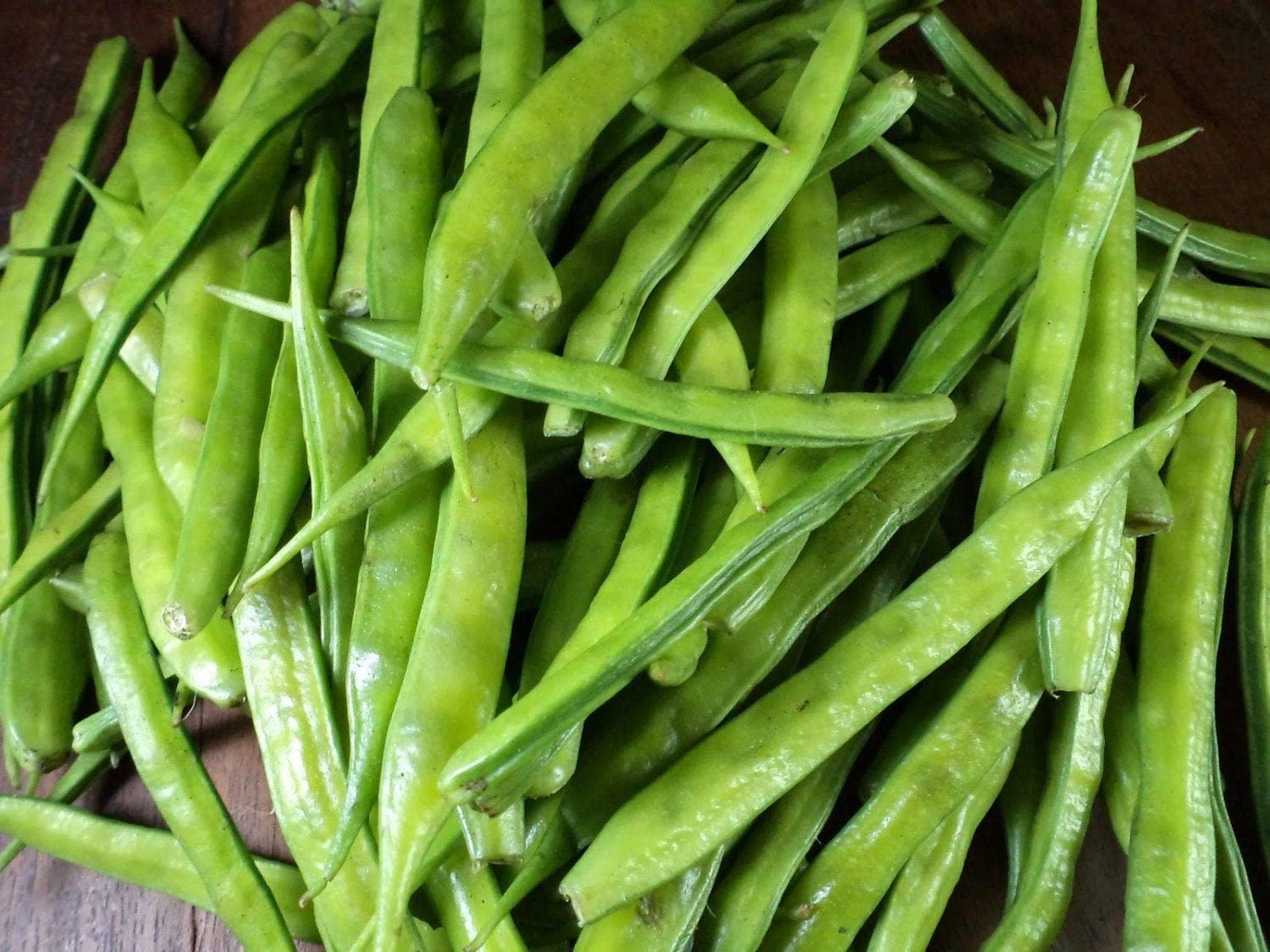 Organic Indian Cluster Bean Seeds (25+ Seeds) - Non-GMO, Heirloom Vegetable Seeds for Home Gardening | Perfect for Container, Raised Bed & Backyard Gardens | Seed King Express