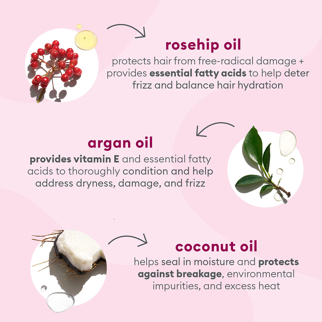 Organic Rosehip, Argan & Coconut Hair Oil for Frizz Control - Nourishing Treatment for Dry, Damaged Hair - Perfect for Daily Hydration & Styling