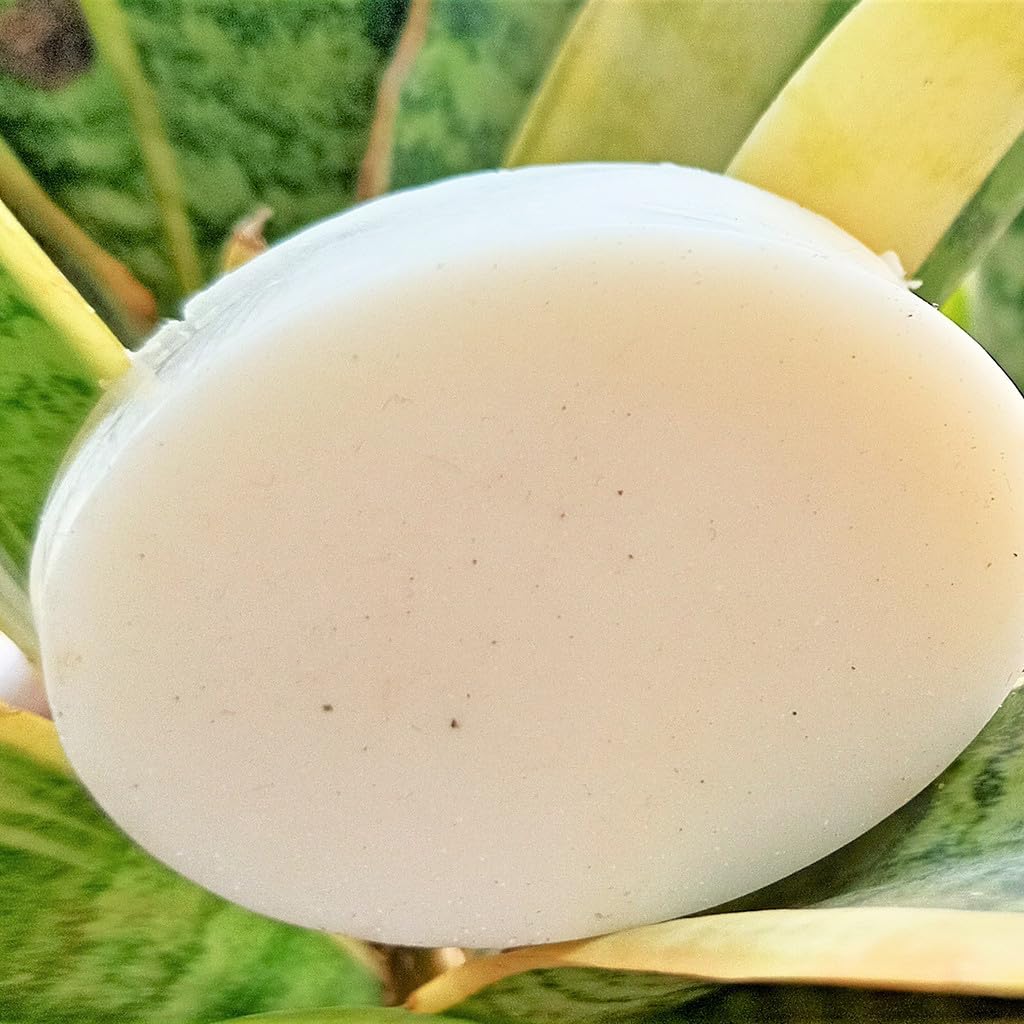 BODY NATURALS HERBS4U Ayurvedic Camphor Handmade Soap - 100g Natural Skin Cleansing Bar for Acne & Oily Skin | Spa, Bath & Gift Use