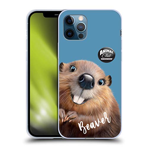 Beaver