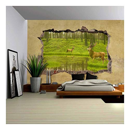 Deers in Forest