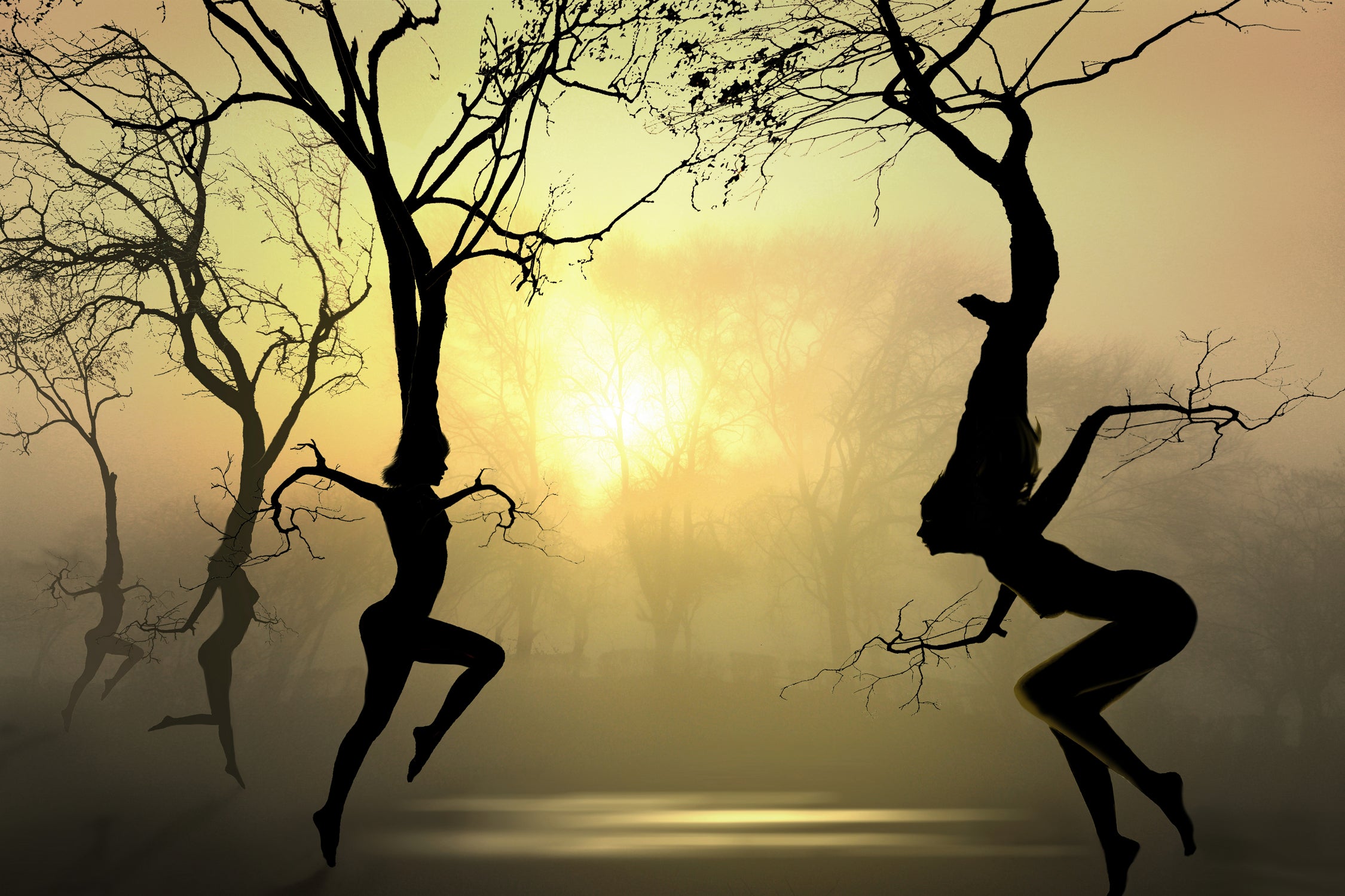 Dancing Trees - Elegant Handcrafted Home Decor for Living Room, Bedroom & Office | Perfect for Gifts, Wedding Decor & Holiday Ornaments
