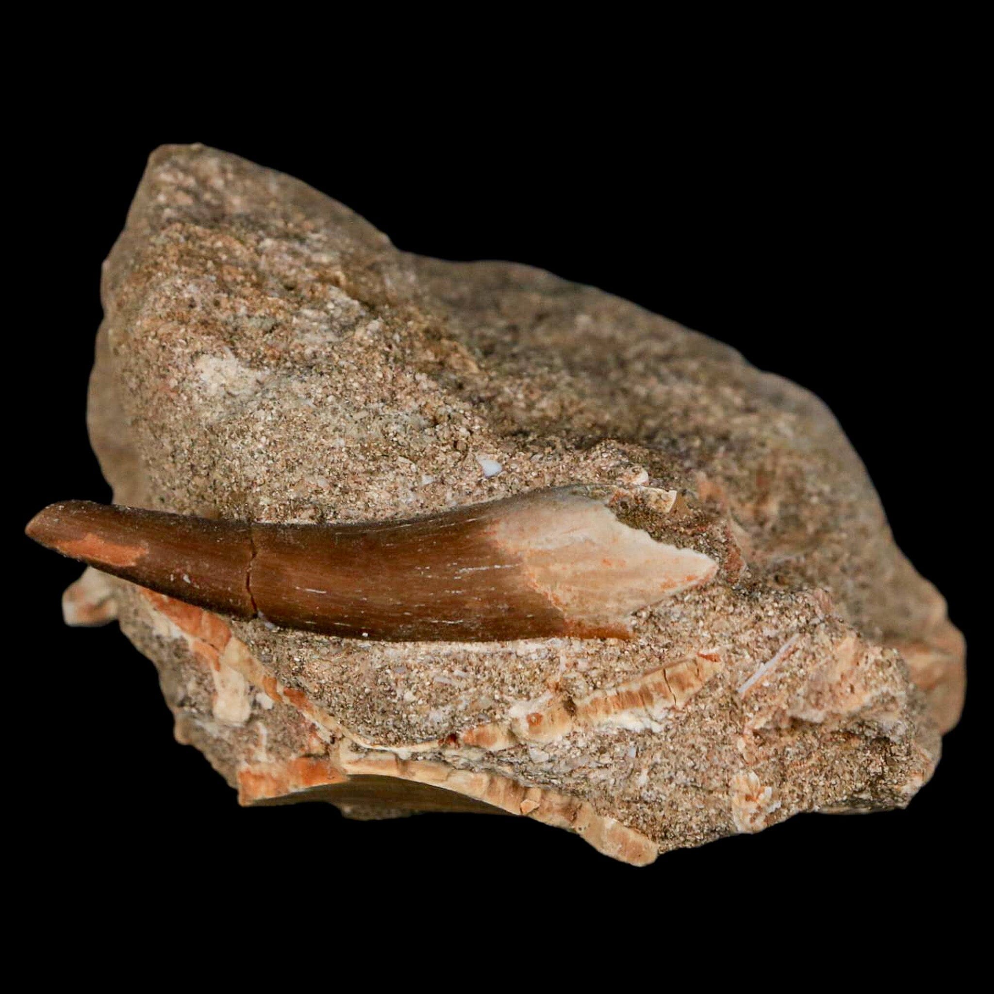 1.7