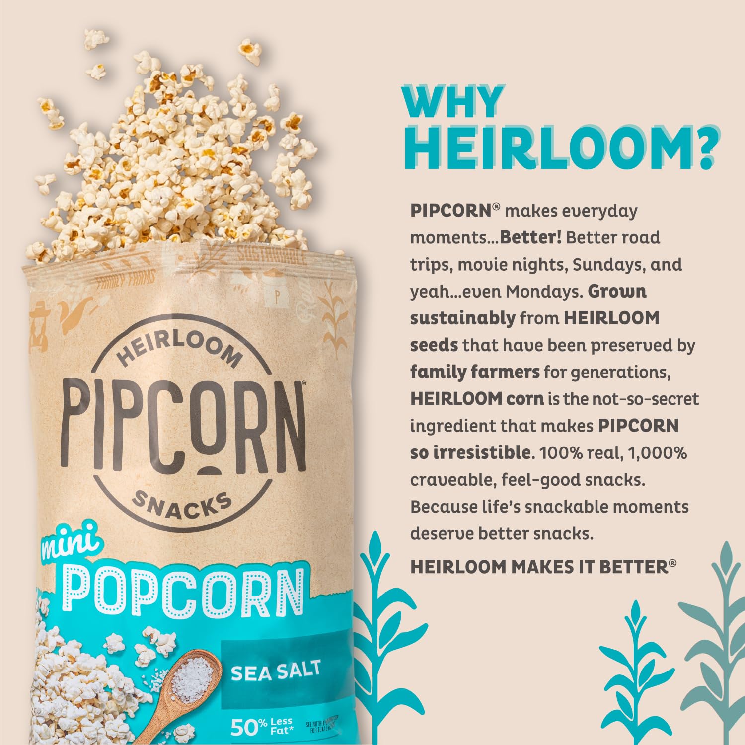 Pipcorn Heirloom Sea Salt Mini Popcorn - 6 Pack (4.5oz Each) - Gluten Free, Healthy Snack - Made with Non-GMO Heirloom Corn - Perfect for Movie Nights, Road Trips & Office Snacking