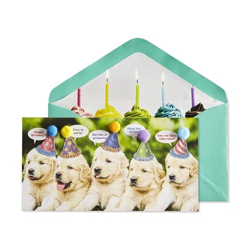 Puppies