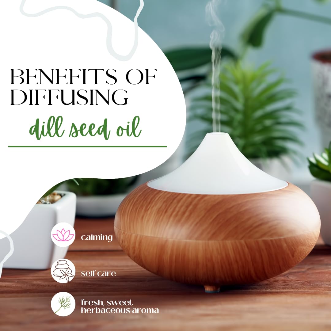 100% Pure Dill Seed Essential Oil - 1 fl oz (30ml) Glass Bottle - Aromatherapy, Massage & DIY Skincare - GreenHealth Premium Essential Oils