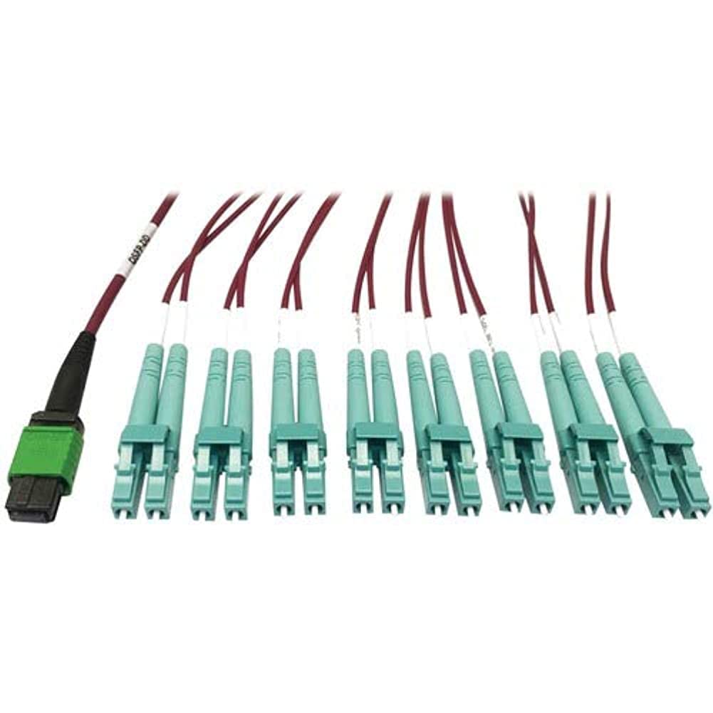 Tripp Lite 400GB Ethernet Fiber Optic Cable - OM4 Multimode 50/125 Plenum Rated Breakout Cable - 16F MTP/MPO-APC to 8X LC Duplex (F/M) - 1m Magenta (N846D-01M-16EMG) - Perfect for High-Speed Data Centers & Server Rooms