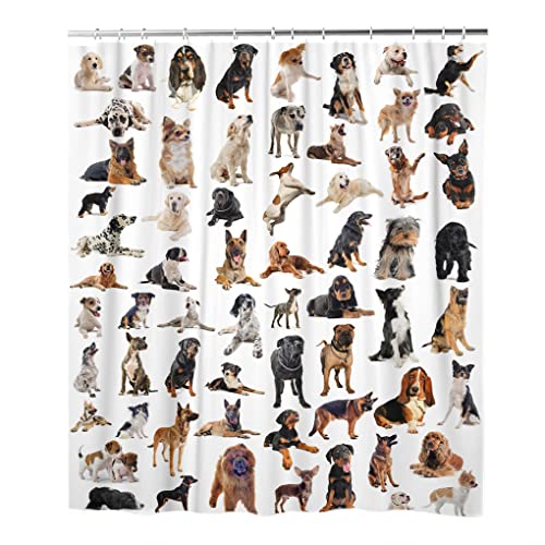 Various Dogs