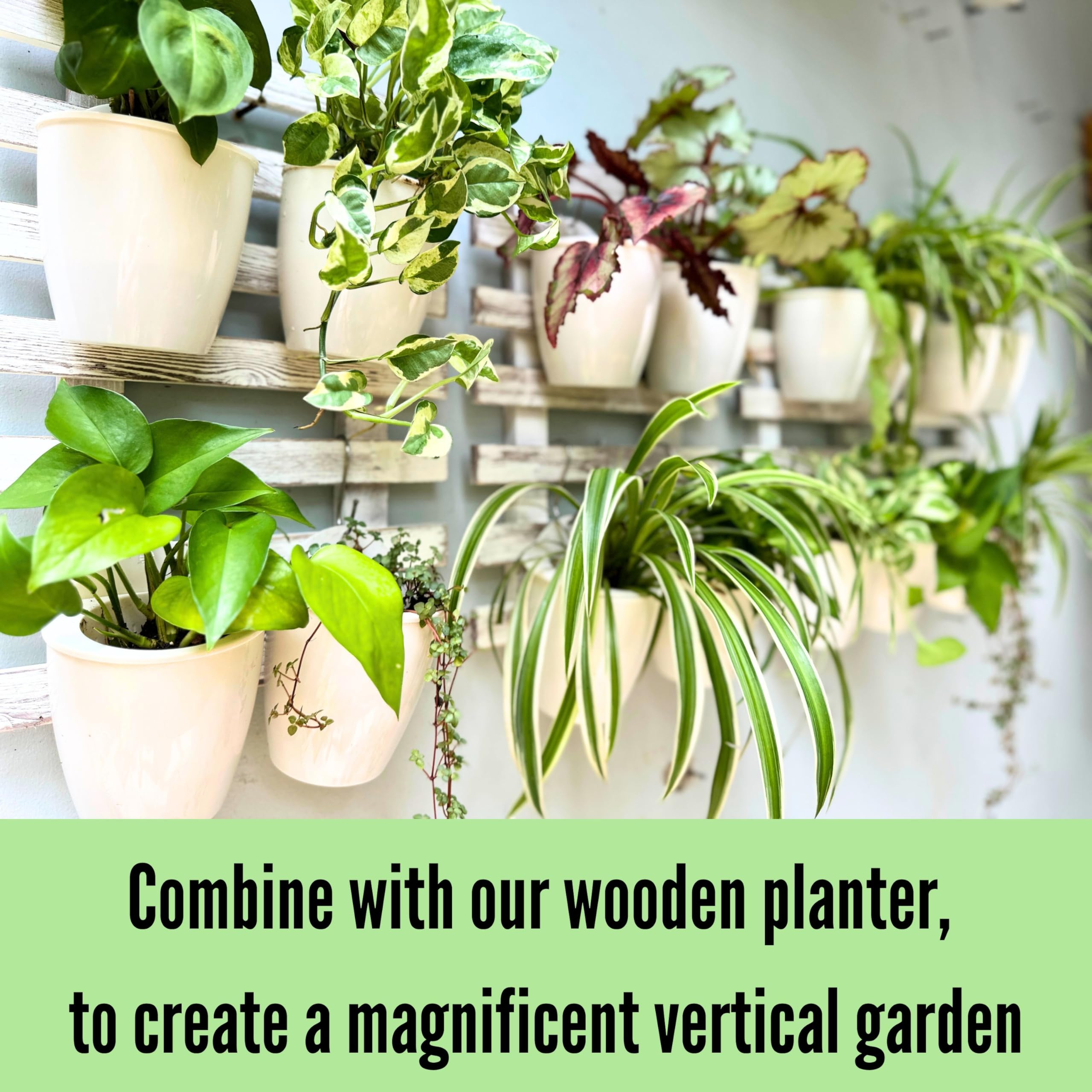 5 Inch Self Watering Plant Pots with 2 Wooden Wall Mount Holders - Indoor Vertical Garden Kit for Herbs, Succulents & Small Plants | Perfect for Kitchen, Balcony & Small Space Gardening
