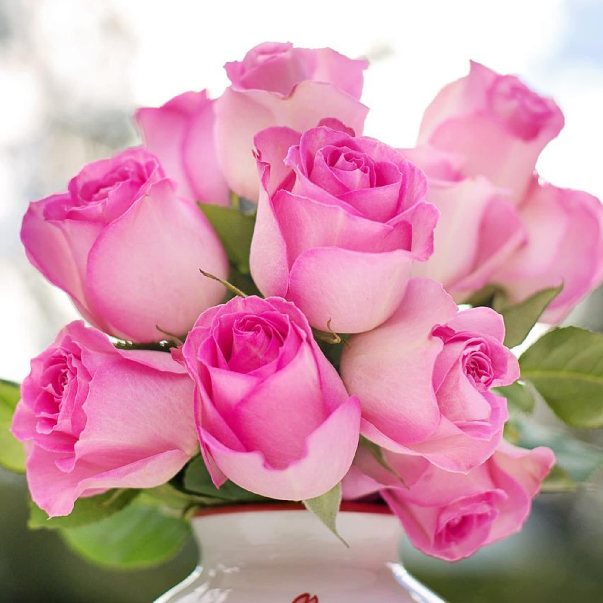 Professional Cut Flower Spray Fertilizer Mist - Pre-Mixed Weekly Plant Food for Fresh Flowers | Gentle Formula for Bouquets, Vases & Floral Arrangements | 8 oz Bottle | Extends Bloom Life for Roses, Tulips & Wedding Flowers