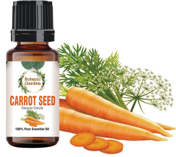 Organic Carrot Seed Body Oil for Moisturizing & Skin Repair - Hydrates Dry Skin, Soothes Eczema & Psoriasis, Balances Acne-Prone Skin - 30ml After Bath Treatment for Glowing Complexion - Perfect for Daily Skincare Routine & Spa Nights