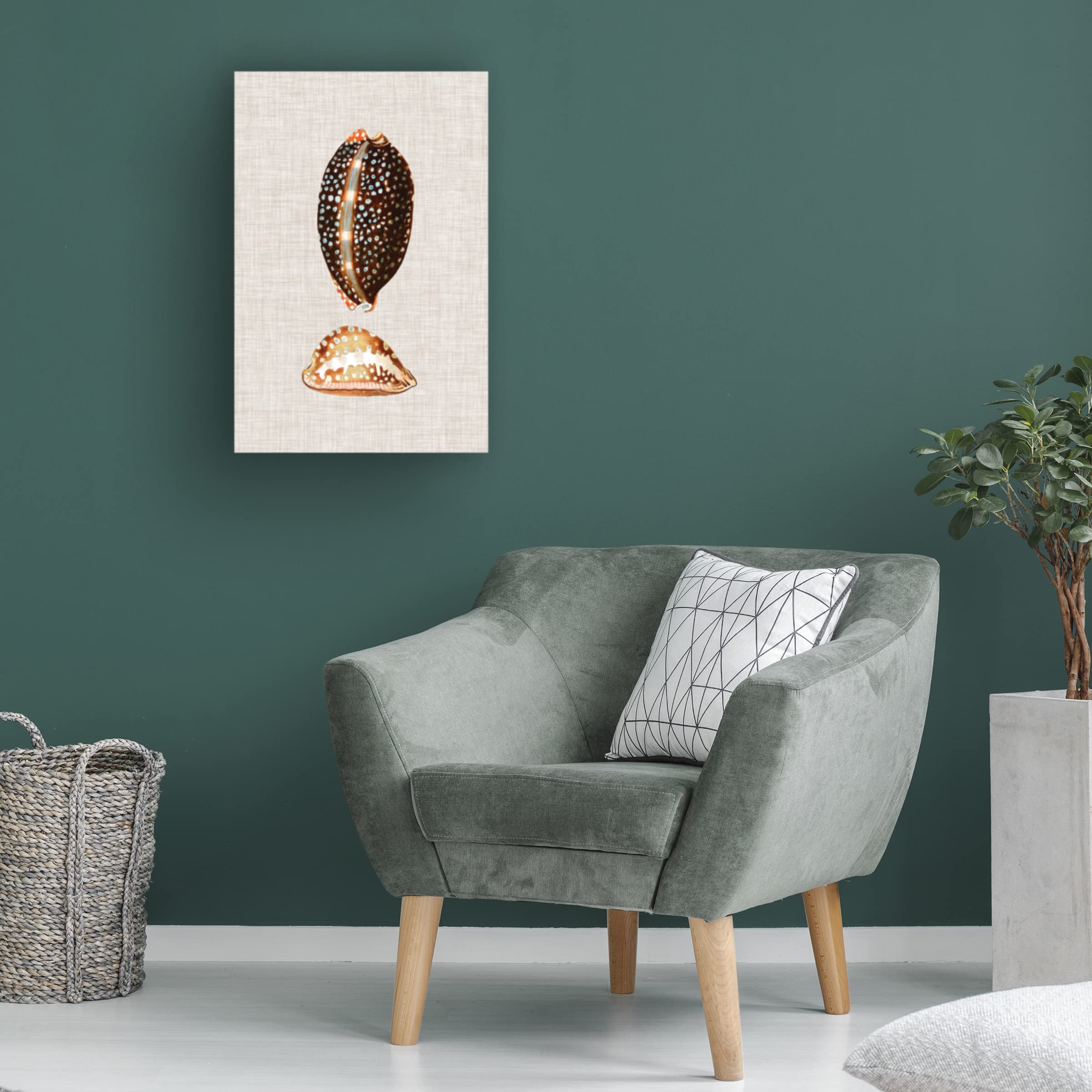 Trademark Fine Art 'Antique Shells on Linen IV' Canvas Wall Art Print by Vision Studio - Perfect for Beach House Decor, Coastal Living Room & Bathroom Wall Decor