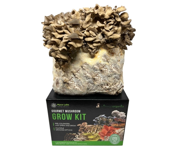 Premium Midwest Grow Kits - 5lb Maitake (Hen of the Woods) Mushroom Growing Kit | Organic Mushroom Cultivation Supplies | Perfect for Home Gardening, Gourmet Cooking & Sustainable Farming