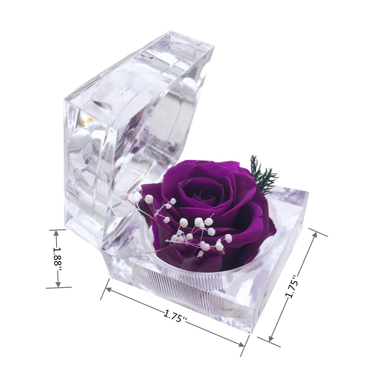 Real Preserved Rose in Mini Clear Ring Box - Eternal Flower Gift for Women, Mom, Girlfriend, Grandma | Perfect for Mother's Day, Anniversary, Valentine's, Christmas & Birthday (Purple) - Romantic Home Decor & Special Occasion Present