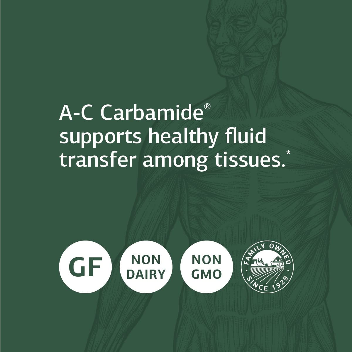 Standard Process A-C Carbamide - Gluten-Free Kidney Support Supplement with Vitamin A & C, Arrowroot Flour - 270 Capsules | Natural Renal Health Support for Men & Women | Daily Kidney Function Maintenance
