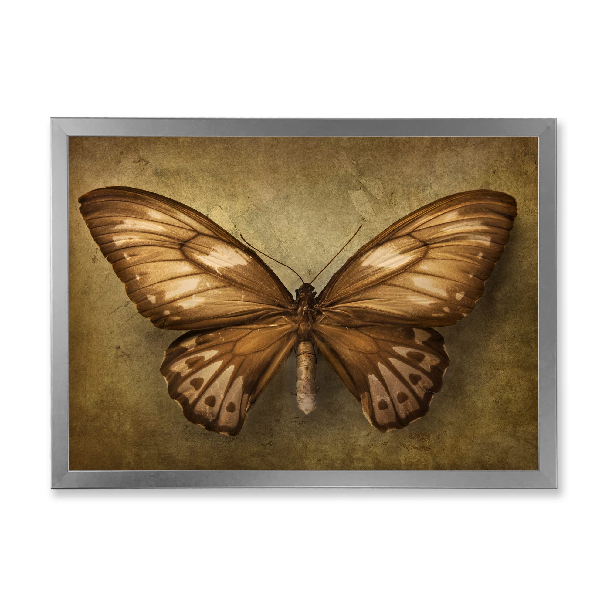Vintage Earth Tone Butterfly Framed Wall Art - Handmade Boho Home Decor for Living Room, Bedroom & Office