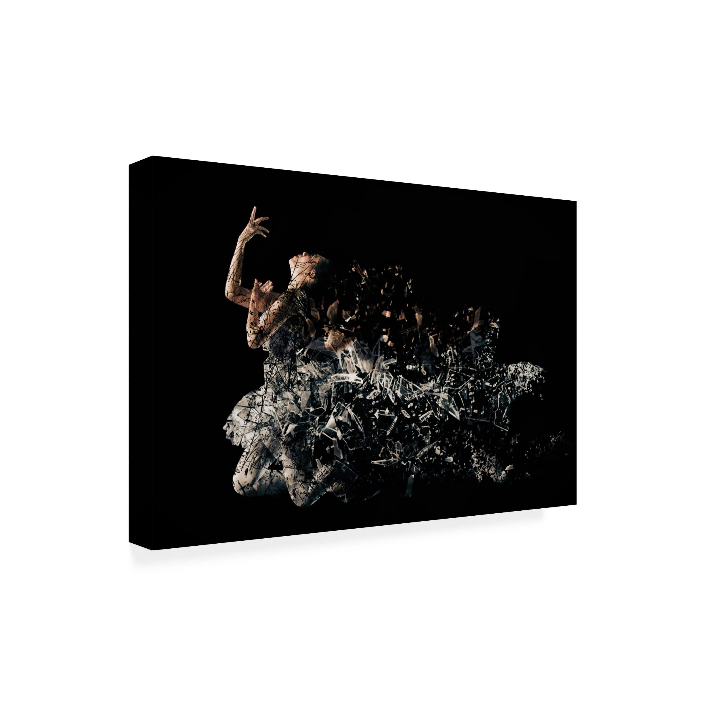 Trademark Fine Art 'Crack' Abstract Canvas Painting by Rullyanto Wibisono - Modern Wall Art for Living Room, Bedroom & Office Decor