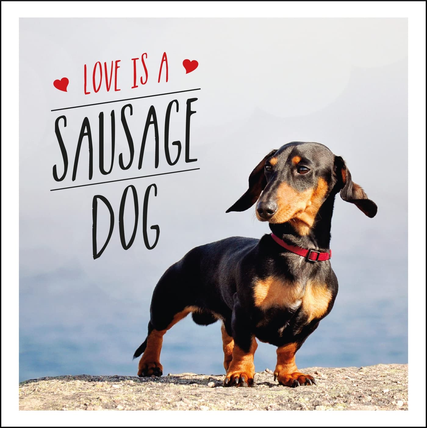 Adorable Dachshund Love Themed Gifts - Perfect for Valentine's Day, Anniversaries & Dog Lovers