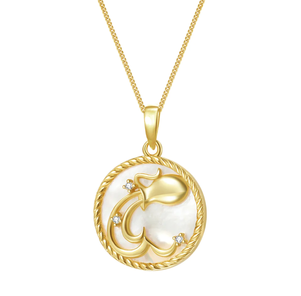 Aquarius Mother of Pearl Zodiac Necklace - Sterling Silver Pendant for Women - Perfect Birthday Gift & Spiritual Jewelry for Daily Wear or Special Occasions