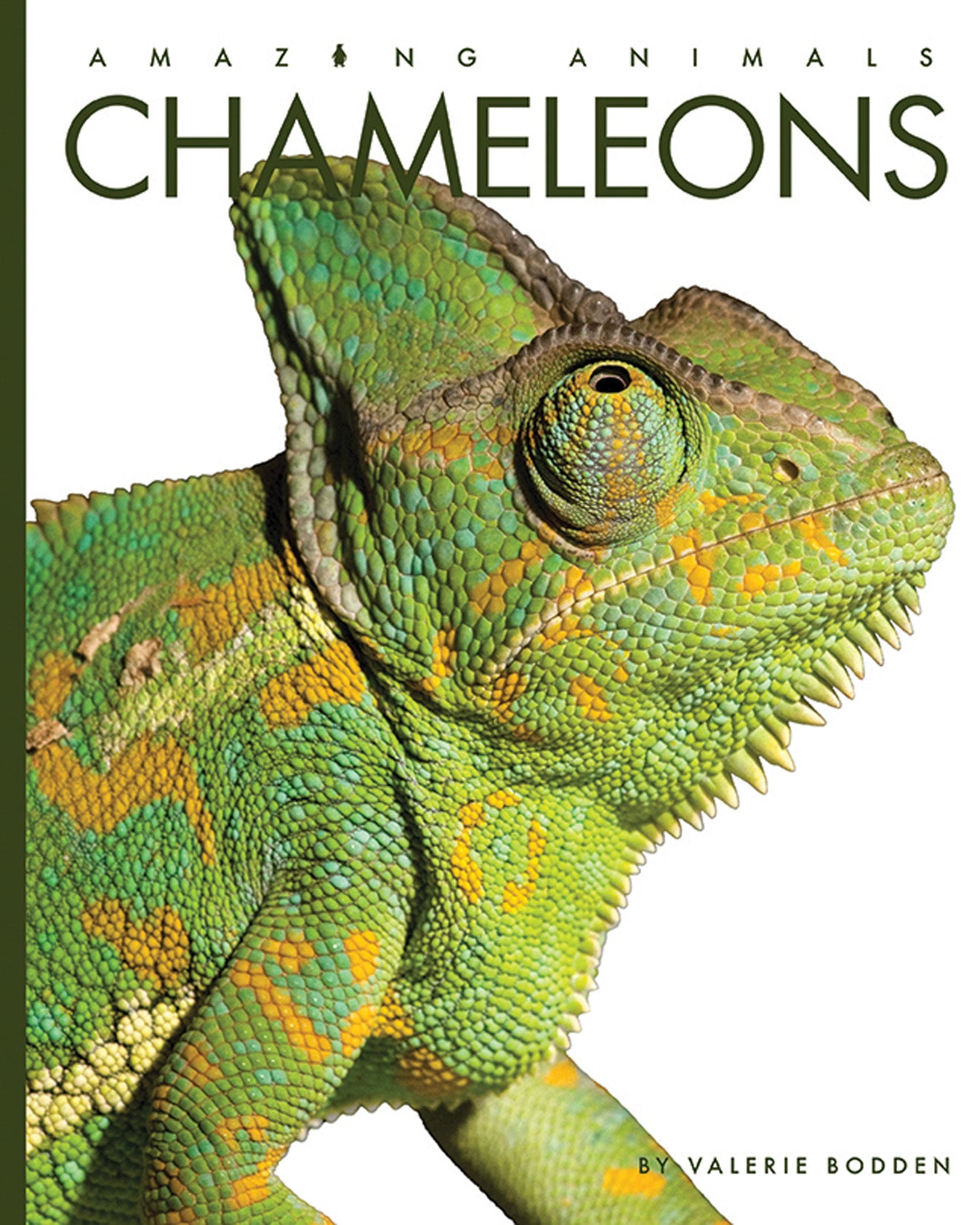 Chameleons Book - 9781640265080 - Learn About Chameleons for Kids & Adults - Perfect for School Projects & Animal Lovers