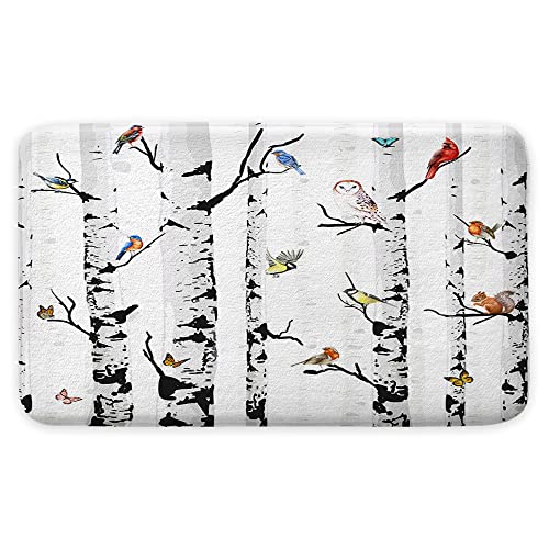 Birds
