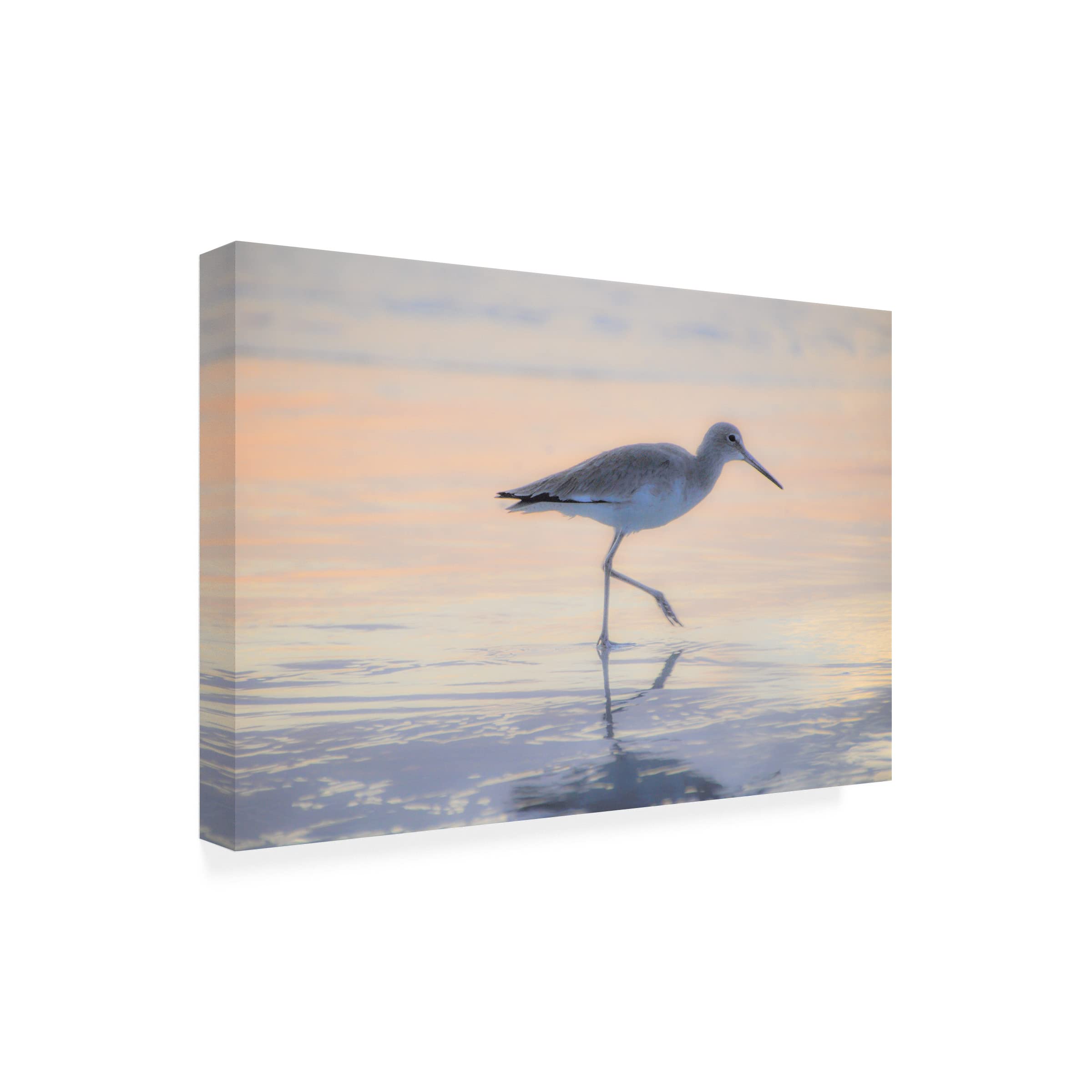 Blue Palomino 'Piper Stalking Her Breakfast' Canvas Wall Art Print - Modern Home Decor for Living Room, Bedroom & Office
