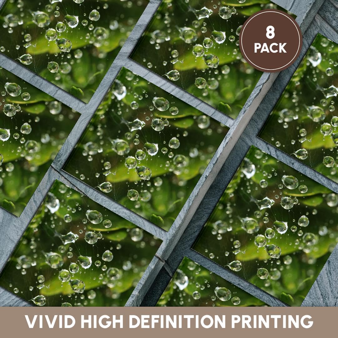 3dRose Macro Photograph of Raindrops on Spiderweb Over Green Leaves - Set of 8 Ceramic Tile Coasters for Home & Office Decor, Perfect for Coffee Tables, Desks, and Gifts