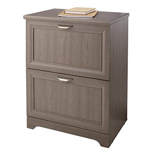 Realspace Magellan 24-Inch Wide 2-Drawer Lateral File Cabinet in Gray - Office Storage Solution for Documents, Folders & Supplies