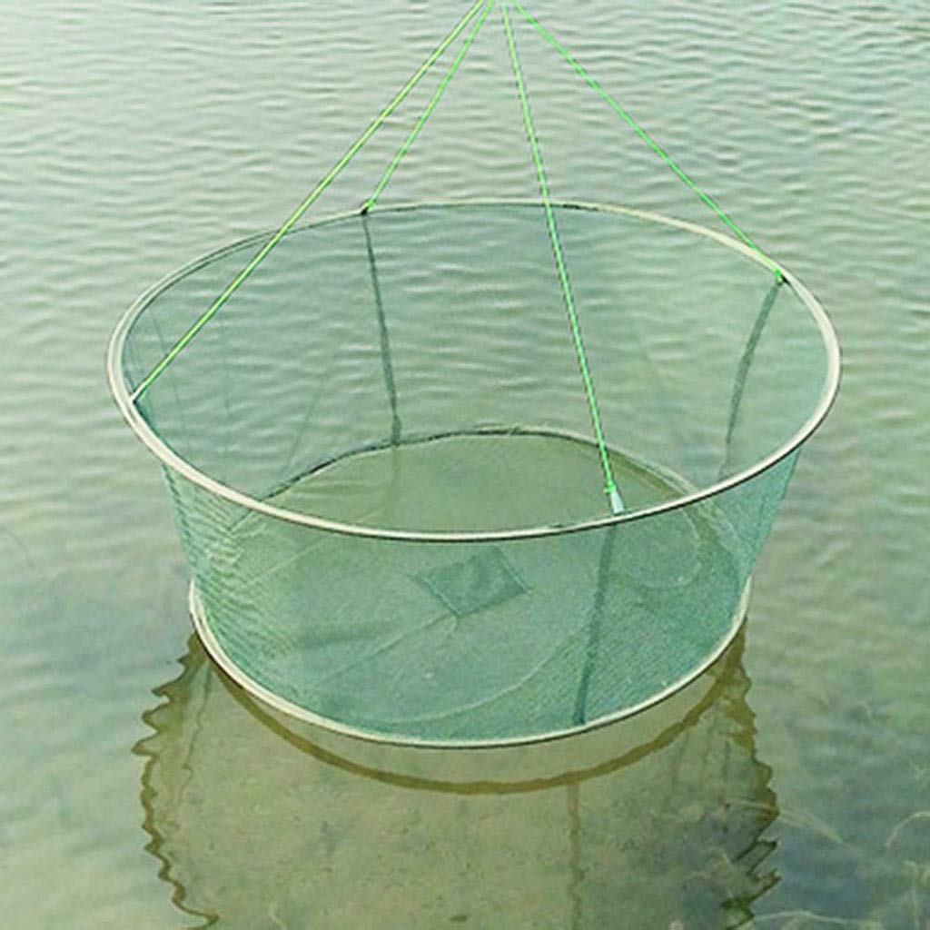 Foldable Fishing Net for Trout, Freshwater & Saltwater - Lightweight Landing Net for Crabs, Shrimps, Prawns - Perfect for Fly Fishing, Kayak Fishing & Outdoor Adventures