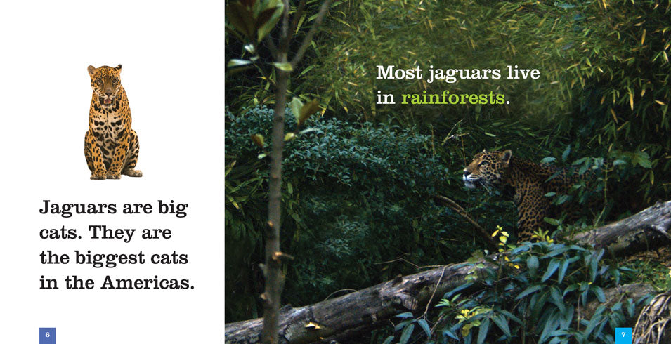 Jaguars Book - ISBN 9781608187386 - Wildlife & Nature Guide for Animal Lovers, Students & Researchers