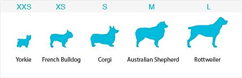 Washable Wonders Female Dog Diapers - No Tail Hole | Premium Reusable Absorbent Dog Panties for Small Dogs (XS, Green) | Perfect for Incontinence, Heat Cycles & Travel