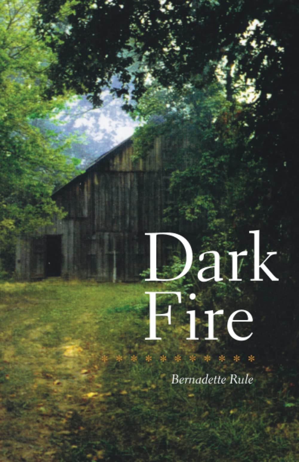 Dark Fire Lighter - Fast & Windproof for Camping & BBQ