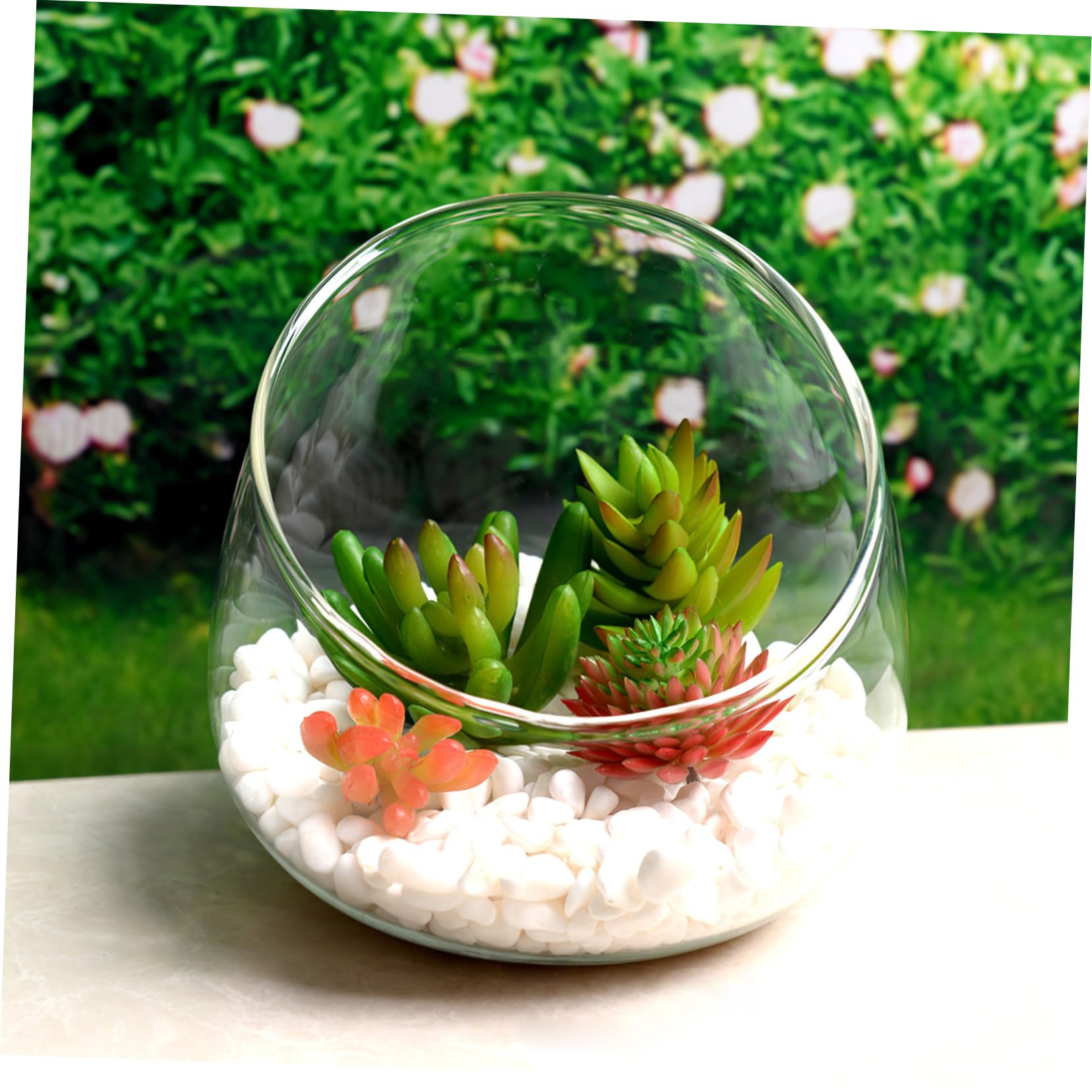 DOITOOL Slanted Glass Terrarium Bowl - Clear Plant Terrarium for Succulents, Air Plants & Micro Landscapes | Ecological Bottle Vase for Home Decor, Office Desk & Gift Ideas | Transparent Glass Bubble Bowl for DIY Mini Garden Projects