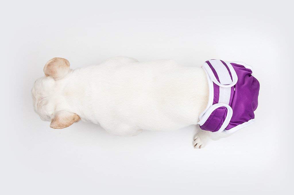 Washable Reusable Female Dog Diapers for Small Dogs - No Tail Hole, Absorbent Pet Panties | Premium Leak-Proof Puppy Diapers for Incontinence, Heat & Training | Perfect for Indoor Use, Travel & Nighttime Protection (Small, Purple)