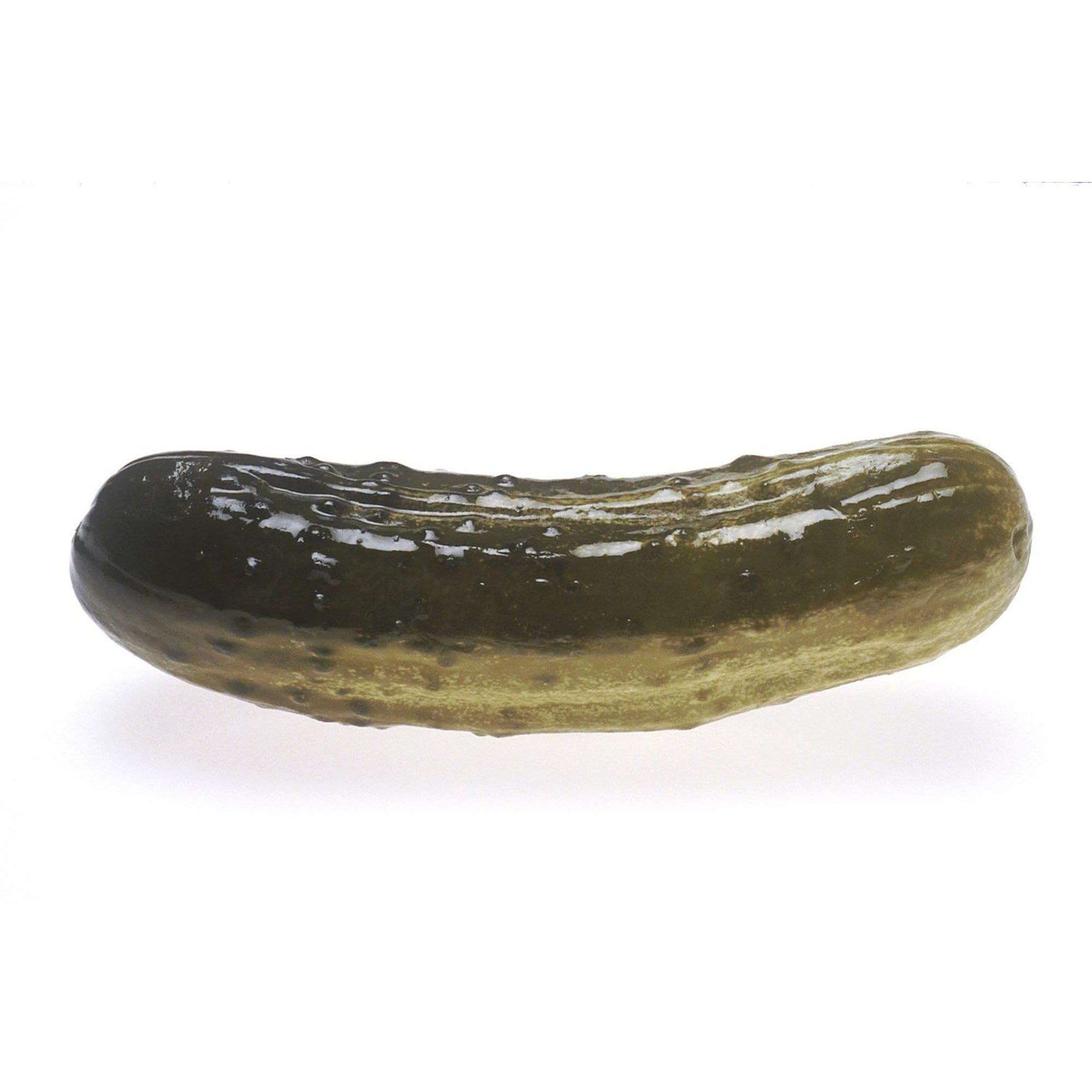 Dill Pickle Oval Bumper Sticker for Cars & Laptops